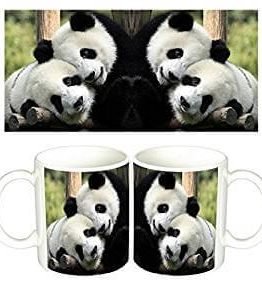 Taza de cafe con foto de oso panda